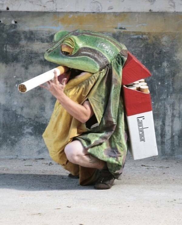What Is Going On Here? (19 pics)
