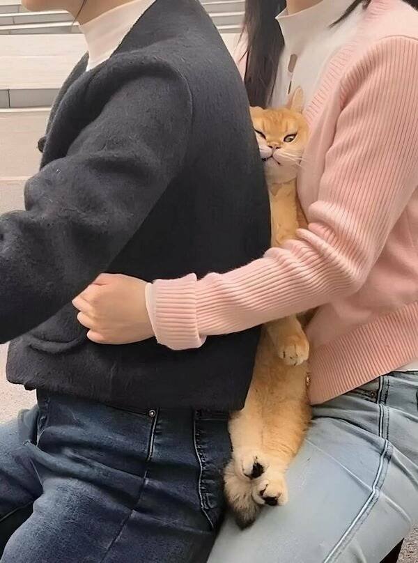 Post And Photos For Good Mood (24 pics)