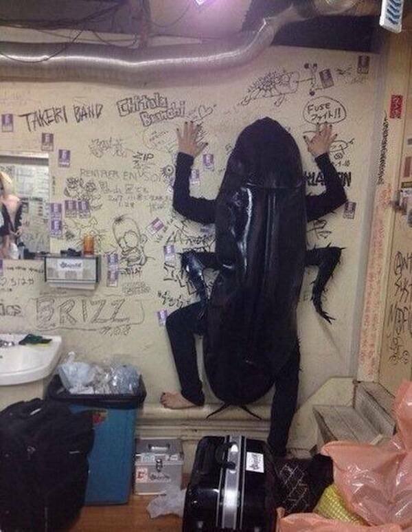 What Is Going On Here? (19 pics)