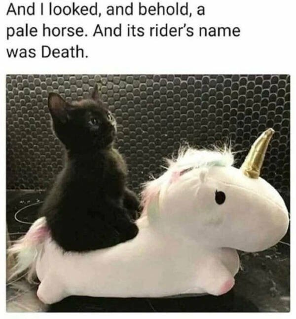 Heartwarming Jokes And Stories (28 pics)
