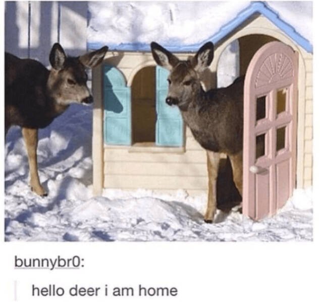 Heartwarming Jokes And Stories (28 pics)