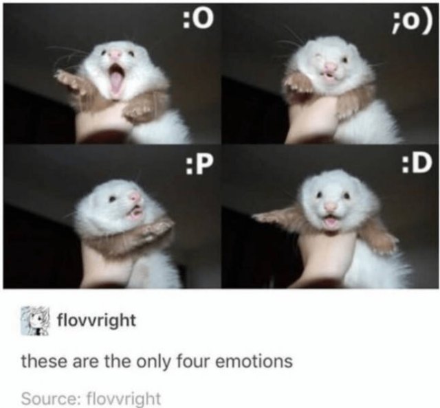 Heartwarming Jokes And Stories (28 pics)