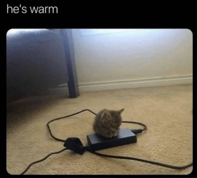 Heartwarming Jokes And Stories (28 pics)