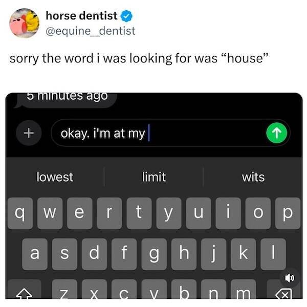Funny Memes (13 pics)