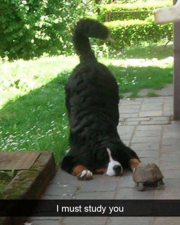 Heartwarming Jokes And Stories (28 pics)