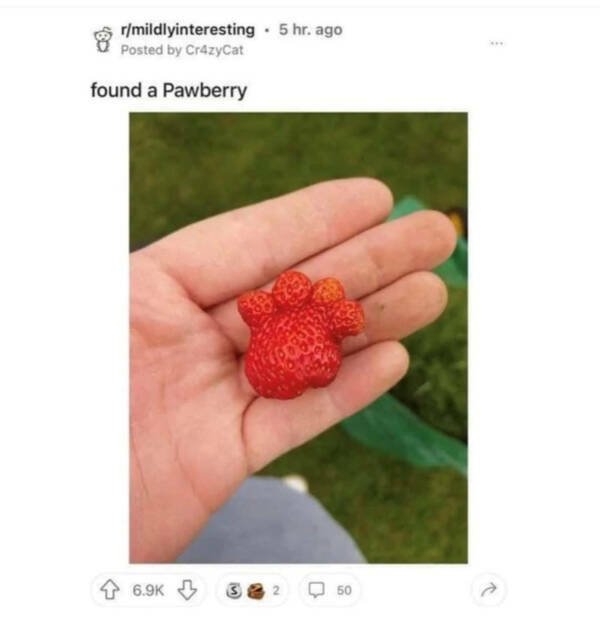 Heartwarming Jokes And Stories (28 pics)