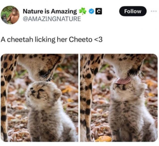 Heartwarming Jokes And Stories (28 pics)