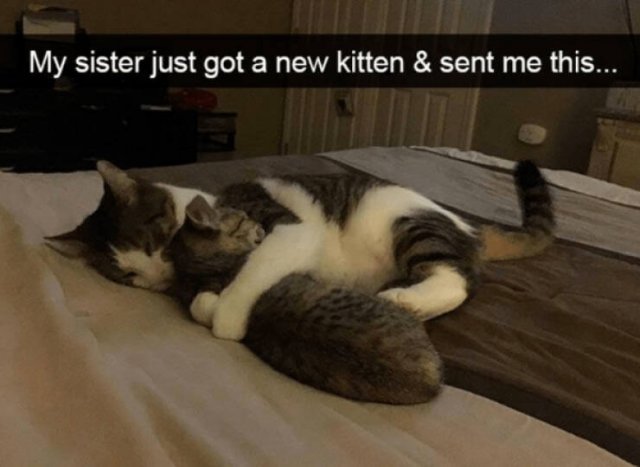 Heartwarming Jokes And Stories (28 pics)