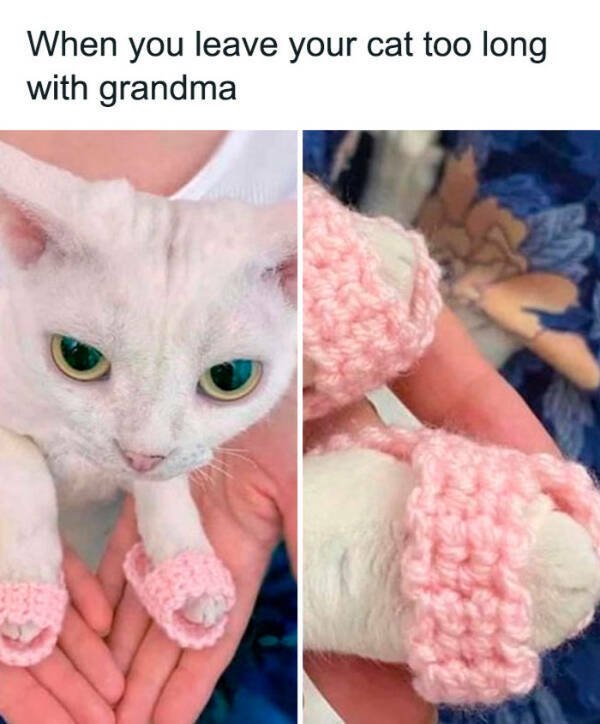 Heartwarming Jokes And Stories (28 pics)