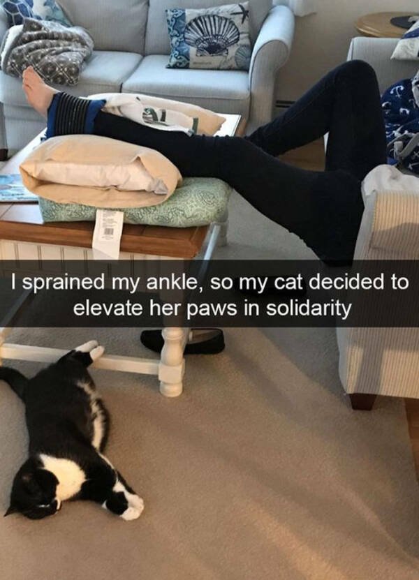 Heartwarming Jokes And Stories (28 pics)