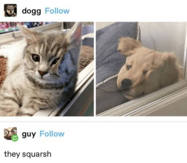 Heartwarming Jokes And Stories (28 pics)