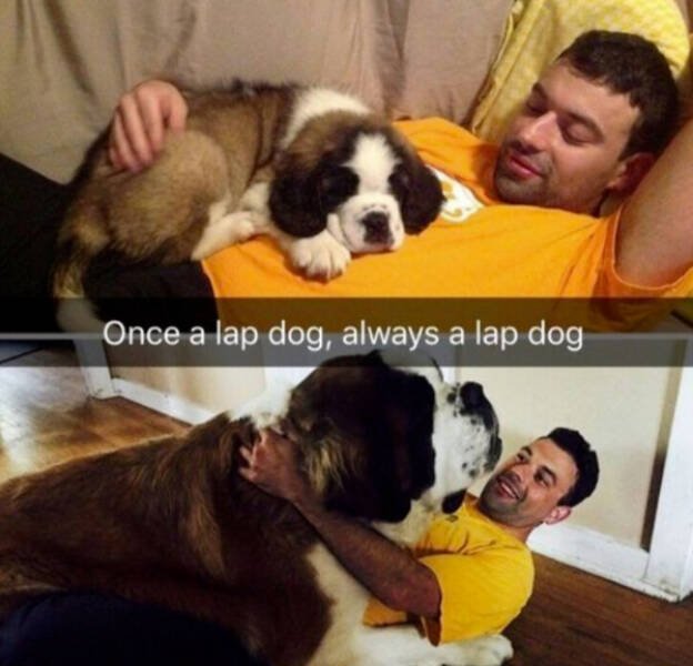 Heartwarming Jokes And Stories (28 pics)