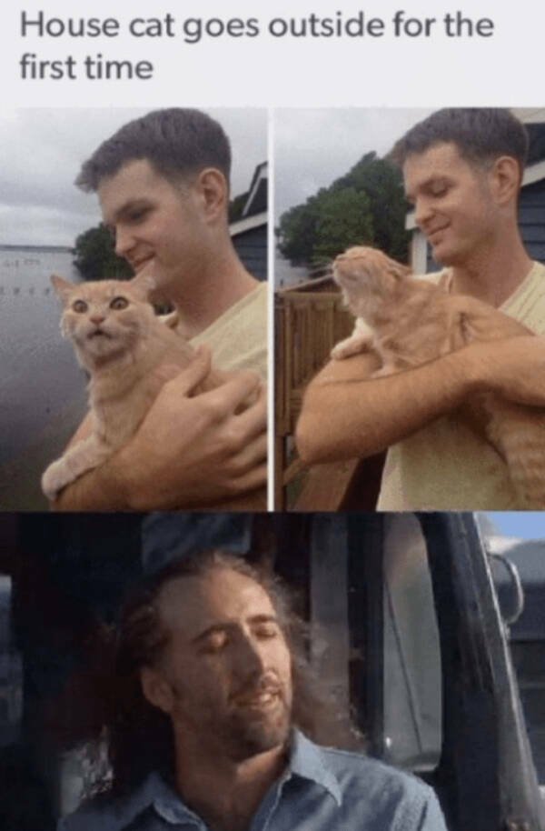 Heartwarming Jokes And Stories (28 pics)