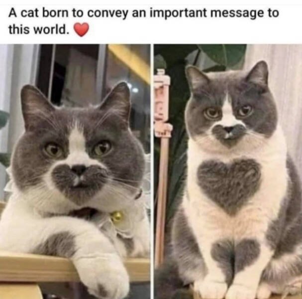 Heartwarming Jokes And Stories (28 pics)