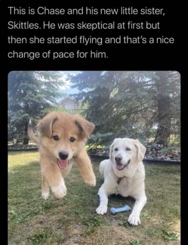 Heartwarming Jokes And Stories (28 pics)