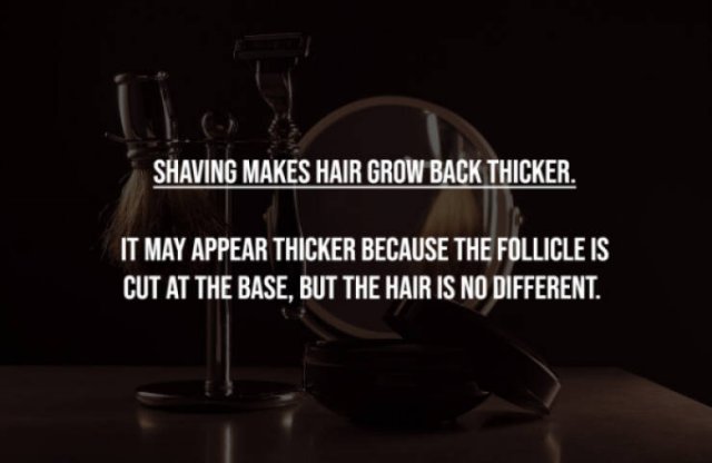 Myths That Many People Believe (17 pics)