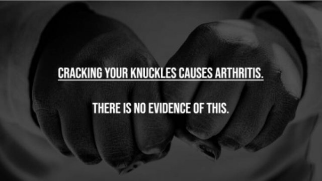 Myths That Many People Believe (17 pics)