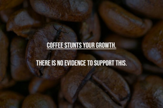 Myths That Many People Believe (17 pics)