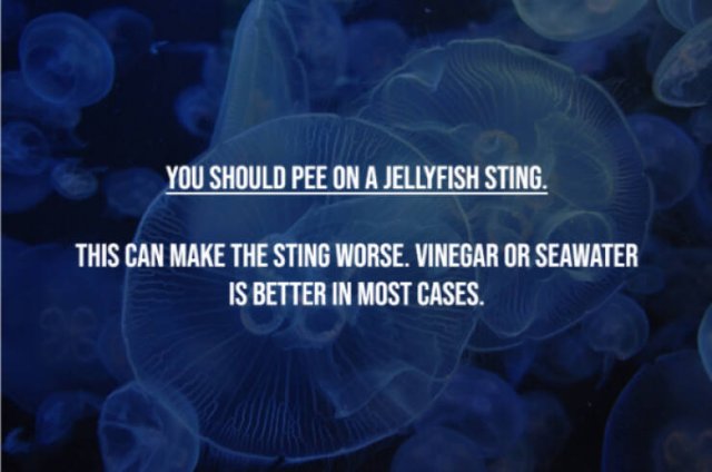Myths That Many People Believe (17 pics)