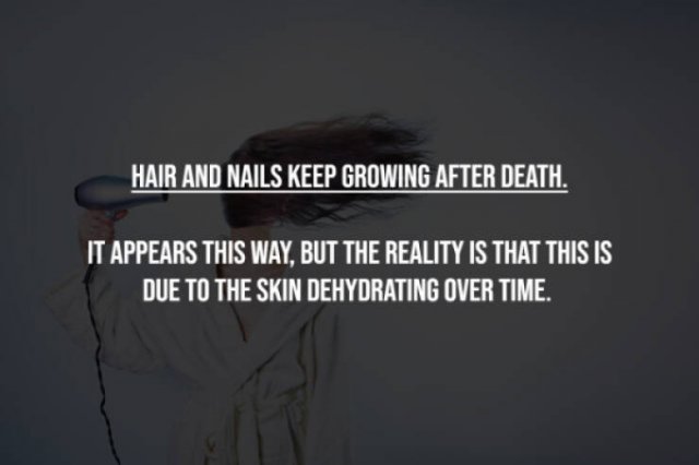 Myths That Many People Believe (17 pics)