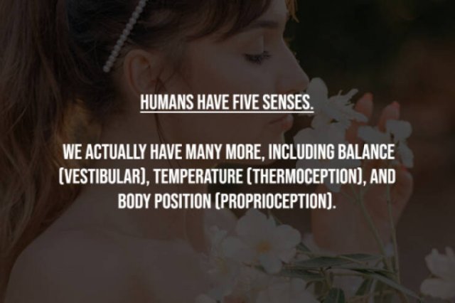 Myths That Many People Believe (17 pics)