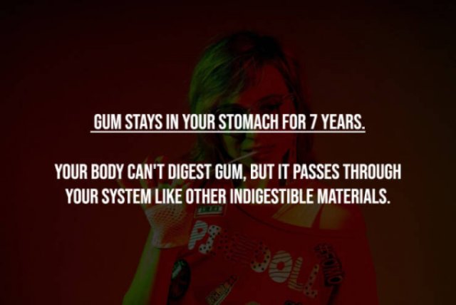 Myths That Many People Believe (17 pics)