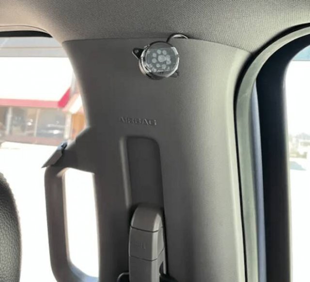 What Are These Things? (12 pics)