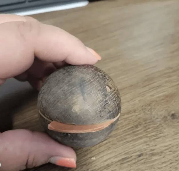 What Are These Things? (12 pics)