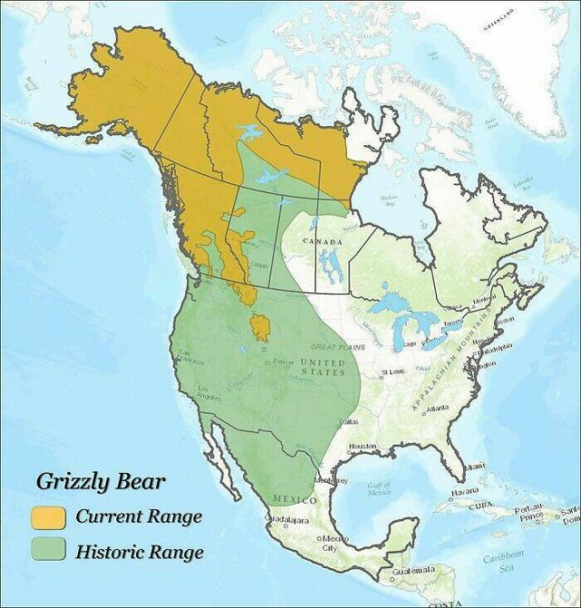 Fascinating Maps (25 pics)