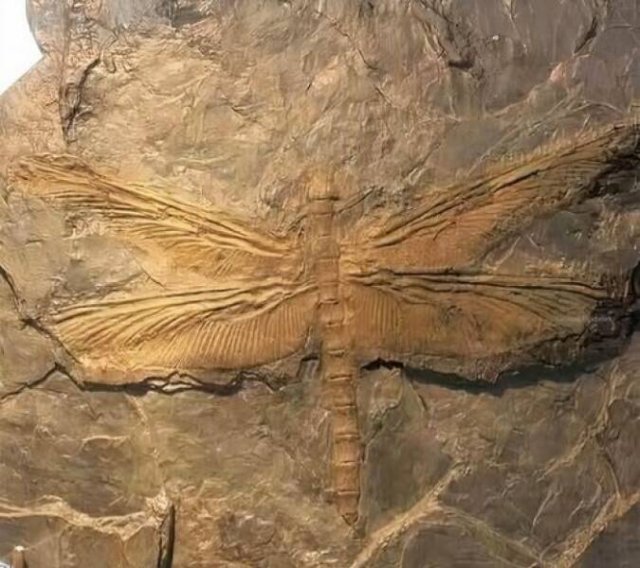 Incredible Ancient Finds (24 pics)