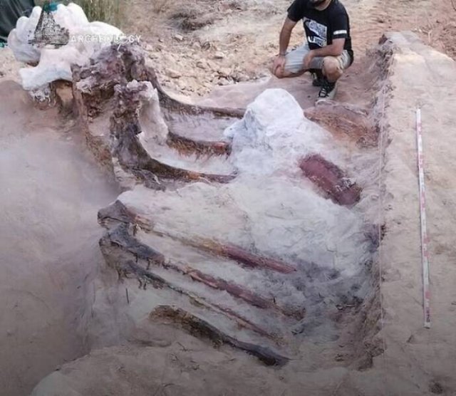 Incredible Ancient Finds (24 pics)