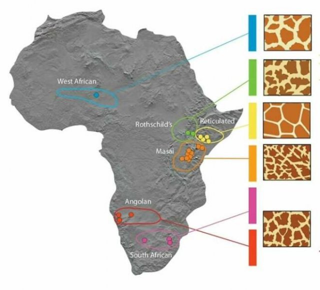 Fascinating Maps (25 pics)