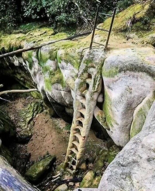 Incredible Ancient Finds (24 pics)