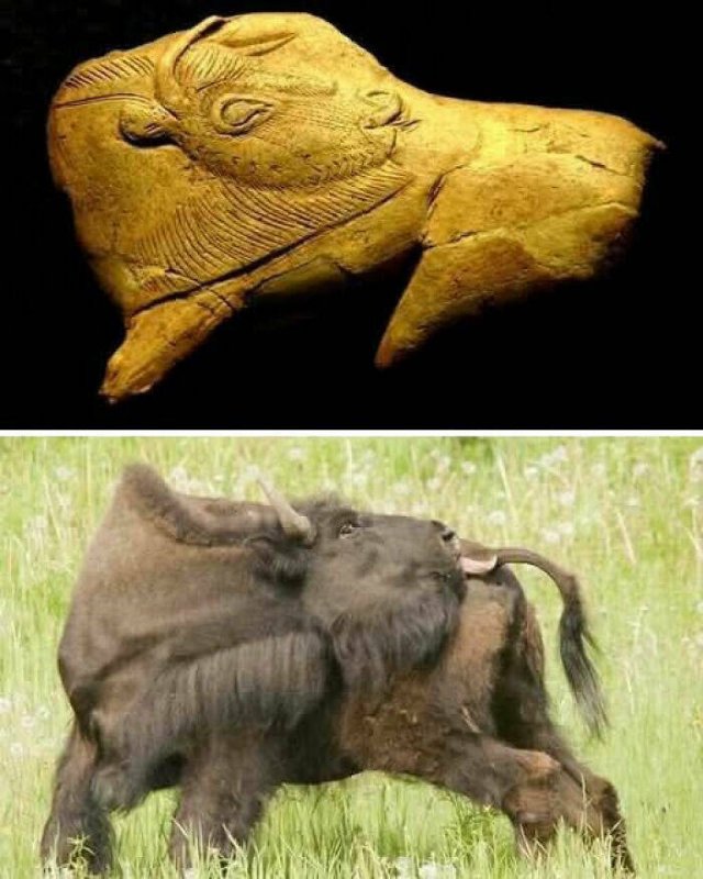 Incredible Ancient Finds (24 pics)