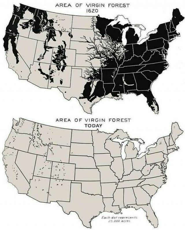 Fascinating Maps (25 pics)