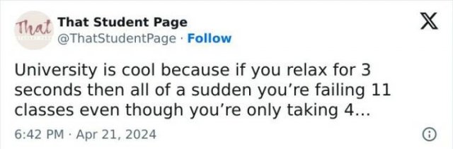 Memes About Student Life (25 pics)