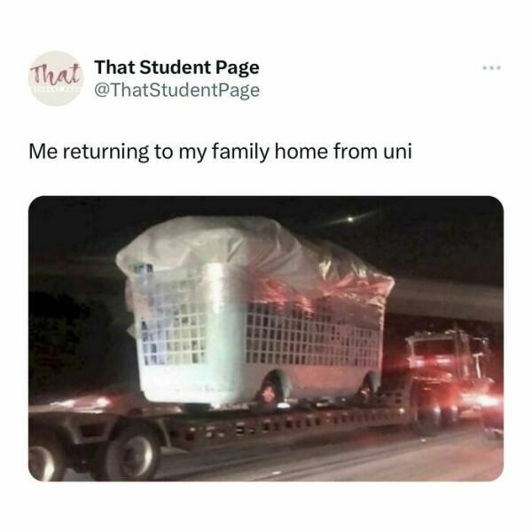 Memes About Student Life (25 pics)