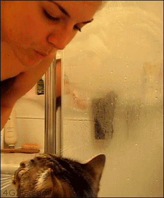 Memories About The 1990's (18 gifs) Memories About The 1990's (18 gifs)