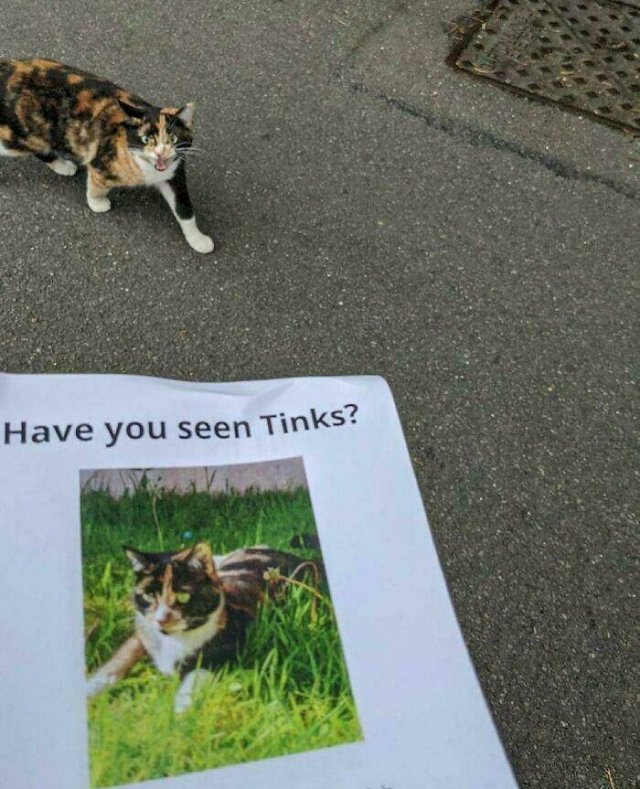 What Is Going On Here? (20 pics)
