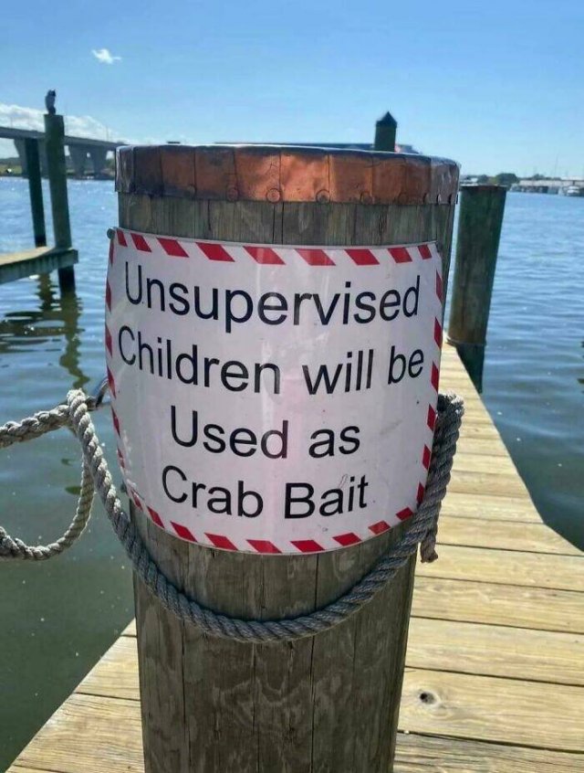 What Is Going On Here? (20 pics)