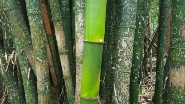 Interesting Finds And Discoveries (25 pics)