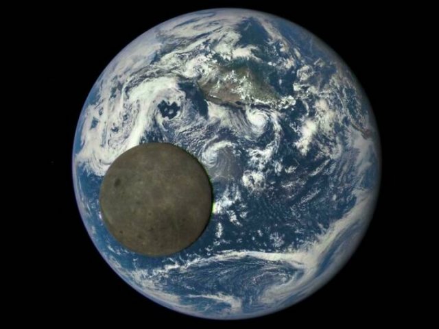 Interesting Finds And Discoveries (25 pics)