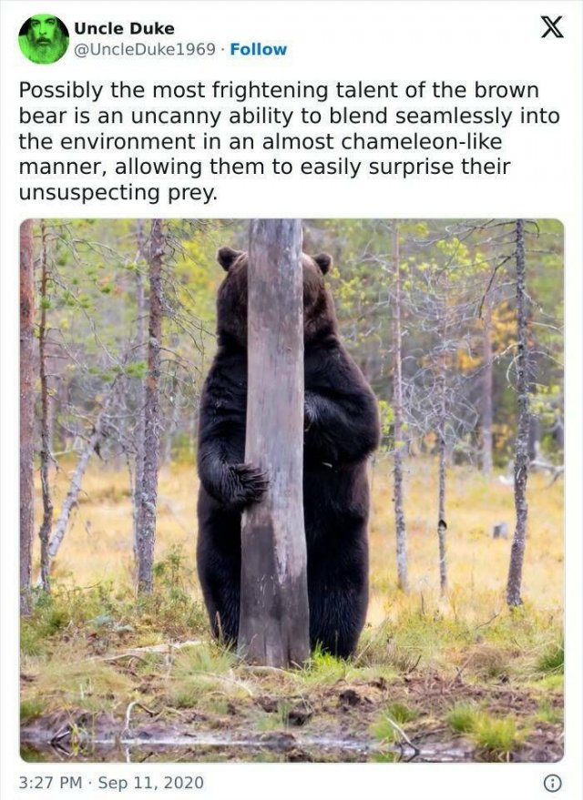 Kind Posts And Jokes (20 pics)