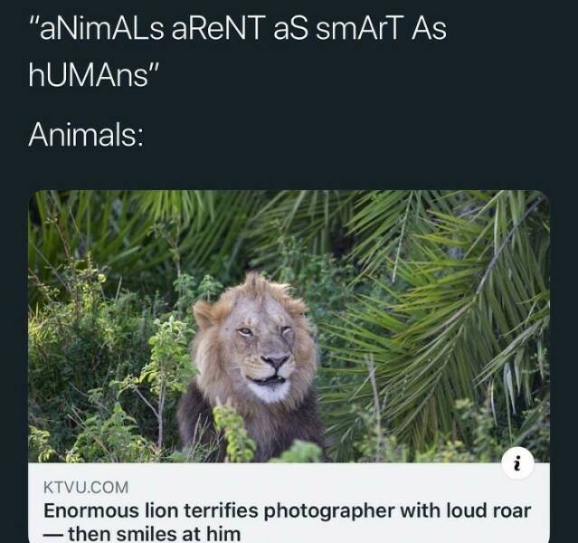 Kind Posts And Jokes (20 pics)