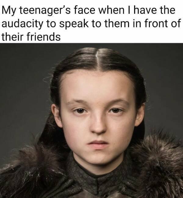 Truthful Memes (14 pics)