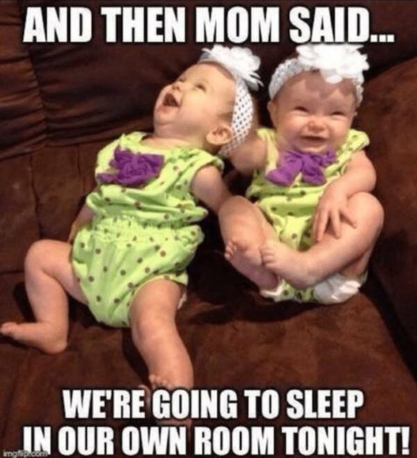 Truthful Memes (14 pics)