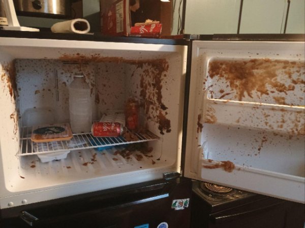 Bad Days Happen (24 pics)