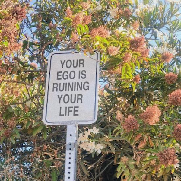 Wise Advices (29 pics)