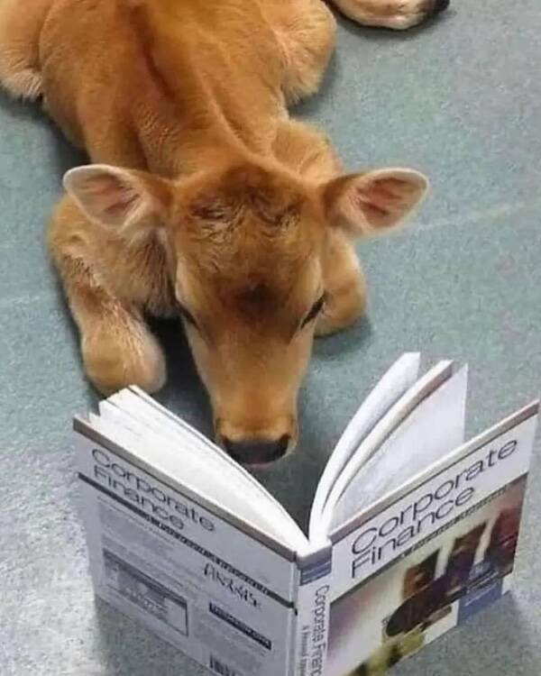 Kind Posts And Photos For Good Mood (29 pics)