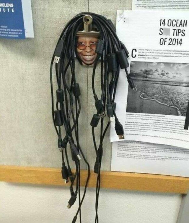 What Is Going On Here? (24 pics)